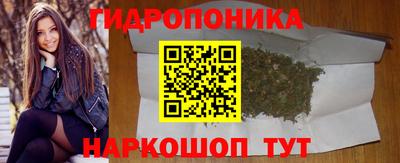 apvp Усть-Илимск