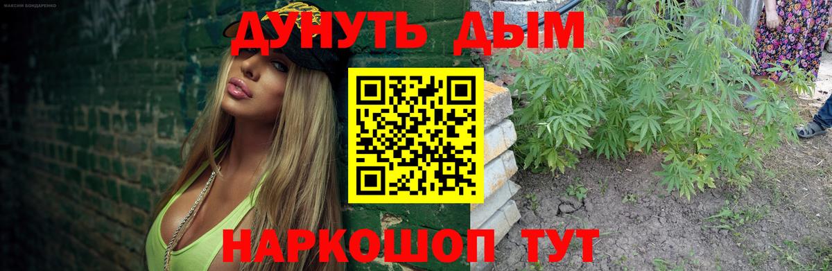 Шишки марихуана Amnesia Белореченск
